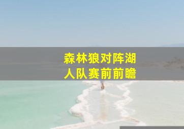 森林狼对阵湖人队赛前前瞻