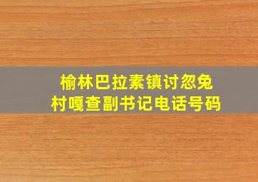 榆林巴拉素镇讨忽兔村嘎查副书记电话号码