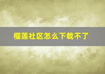 榴莲社区怎么下载不了