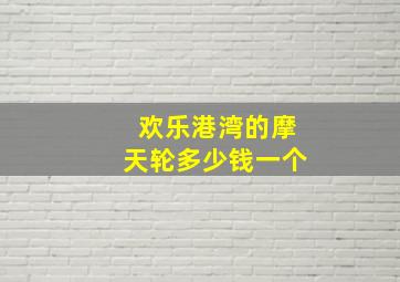 欢乐港湾的摩天轮多少钱一个