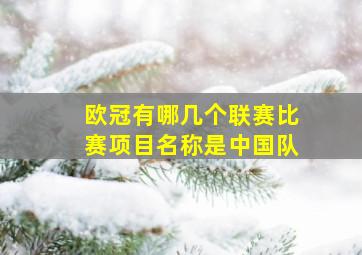 欧冠有哪几个联赛比赛项目名称是中国队