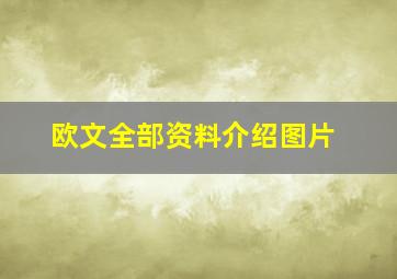 欧文全部资料介绍图片