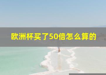 欧洲杯买了50倍怎么算的