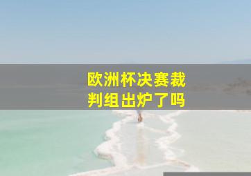 欧洲杯决赛裁判组出炉了吗