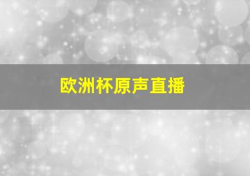 欧洲杯原声直播