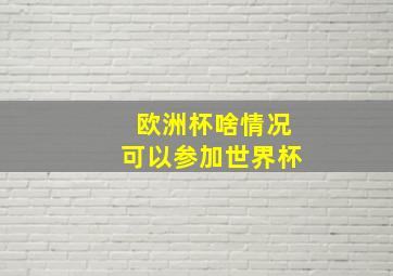 欧洲杯啥情况可以参加世界杯