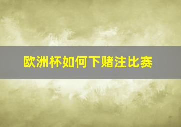 欧洲杯如何下赌注比赛