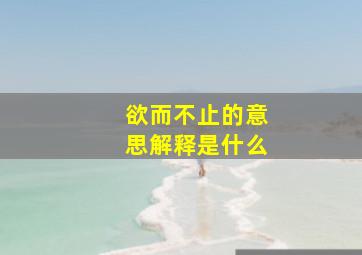 欲而不止的意思解释是什么