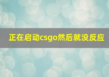 正在启动csgo然后就没反应