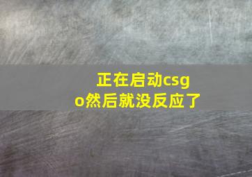 正在启动csgo然后就没反应了