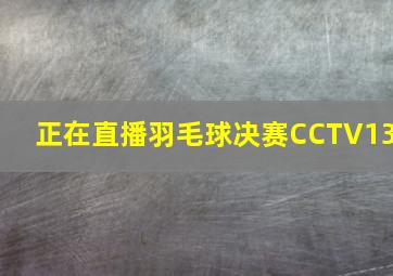 正在直播羽毛球决赛CCTV13