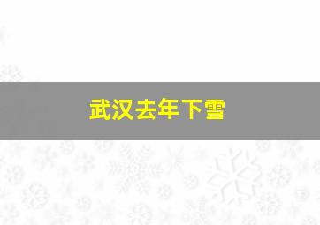 武汉去年下雪