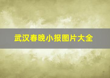 武汉春晚小报图片大全