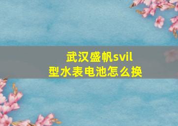 武汉盛帆svil型水表电池怎么换