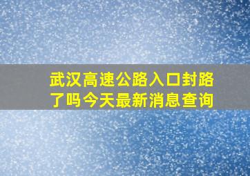 武汉高速公路入口封路了吗今天最新消息查询