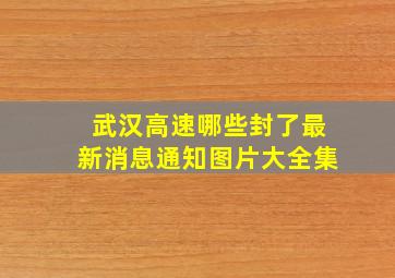 武汉高速哪些封了最新消息通知图片大全集