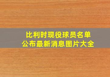 比利时现役球员名单公布最新消息图片大全