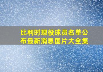 比利时现役球员名单公布最新消息图片大全集