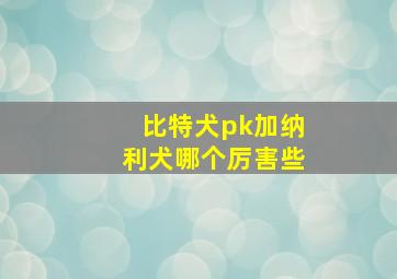 比特犬pk加纳利犬哪个厉害些