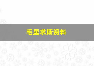 毛里求斯资料