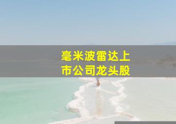 毫米波雷达上市公司龙头股