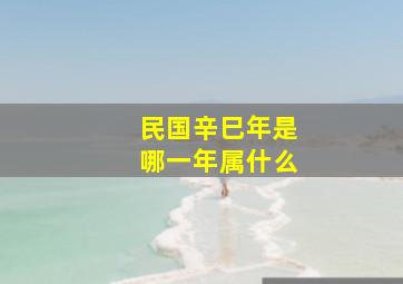 民国辛巳年是哪一年属什么