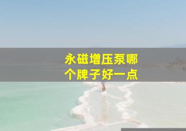 永磁增压泵哪个牌子好一点