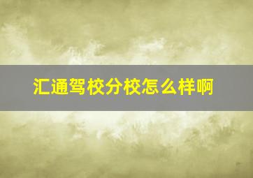 汇通驾校分校怎么样啊