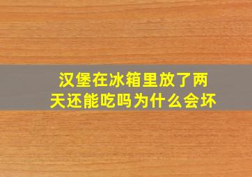 汉堡在冰箱里放了两天还能吃吗为什么会坏