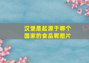 汉堡是起源于哪个国家的食品呢图片