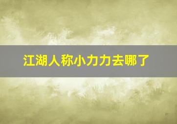 江湖人称小力力去哪了