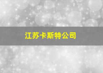 江苏卡斯特公司