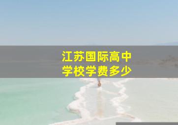 江苏国际高中学校学费多少