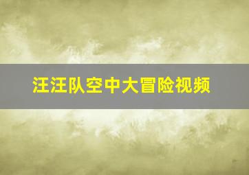 汪汪队空中大冒险视频