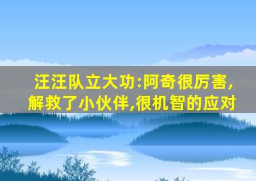 汪汪队立大功:阿奇很厉害,解救了小伙伴,很机智的应对