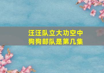 汪汪队立大功空中狗狗部队是第几集