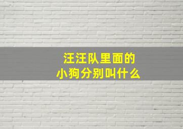 汪汪队里面的小狗分别叫什么