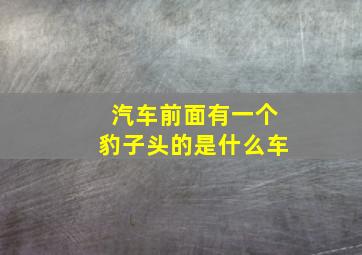 汽车前面有一个豹子头的是什么车