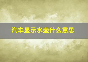 汽车显示水壶什么意思