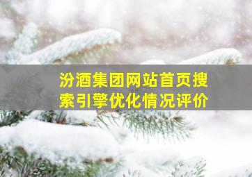 汾酒集团网站首页搜索引擎优化情况评价