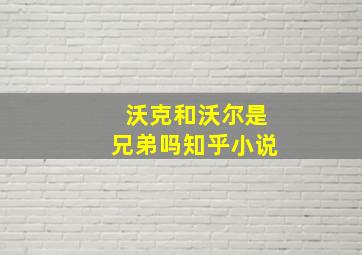 沃克和沃尔是兄弟吗知乎小说