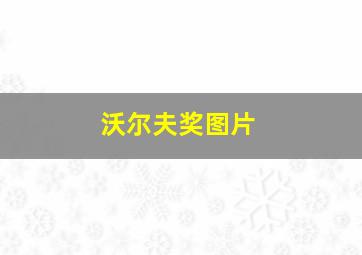 沃尔夫奖图片