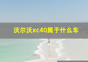 沃尔沃xc40属于什么车