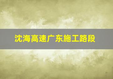 沈海高速广东施工路段