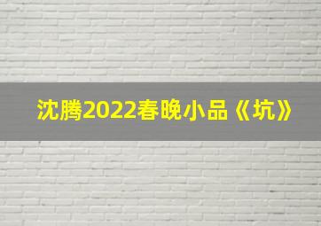 沈腾2022春晚小品《坑》