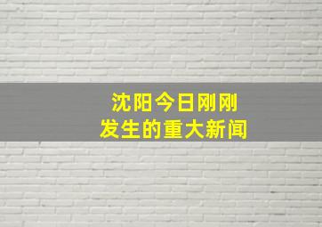 沈阳今日刚刚发生的重大新闻