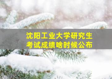 沈阳工业大学研究生考试成绩啥时候公布