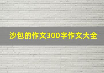 沙包的作文300字作文大全