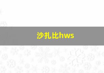 沙扎比hws