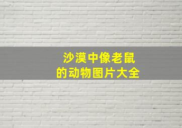 沙漠中像老鼠的动物图片大全